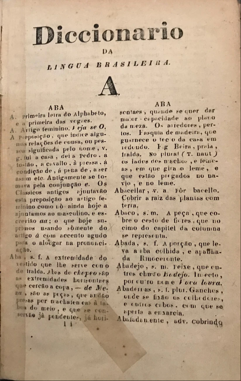 A LÍNGUA BRASILEIRA NA INDEPENDÊNCIA