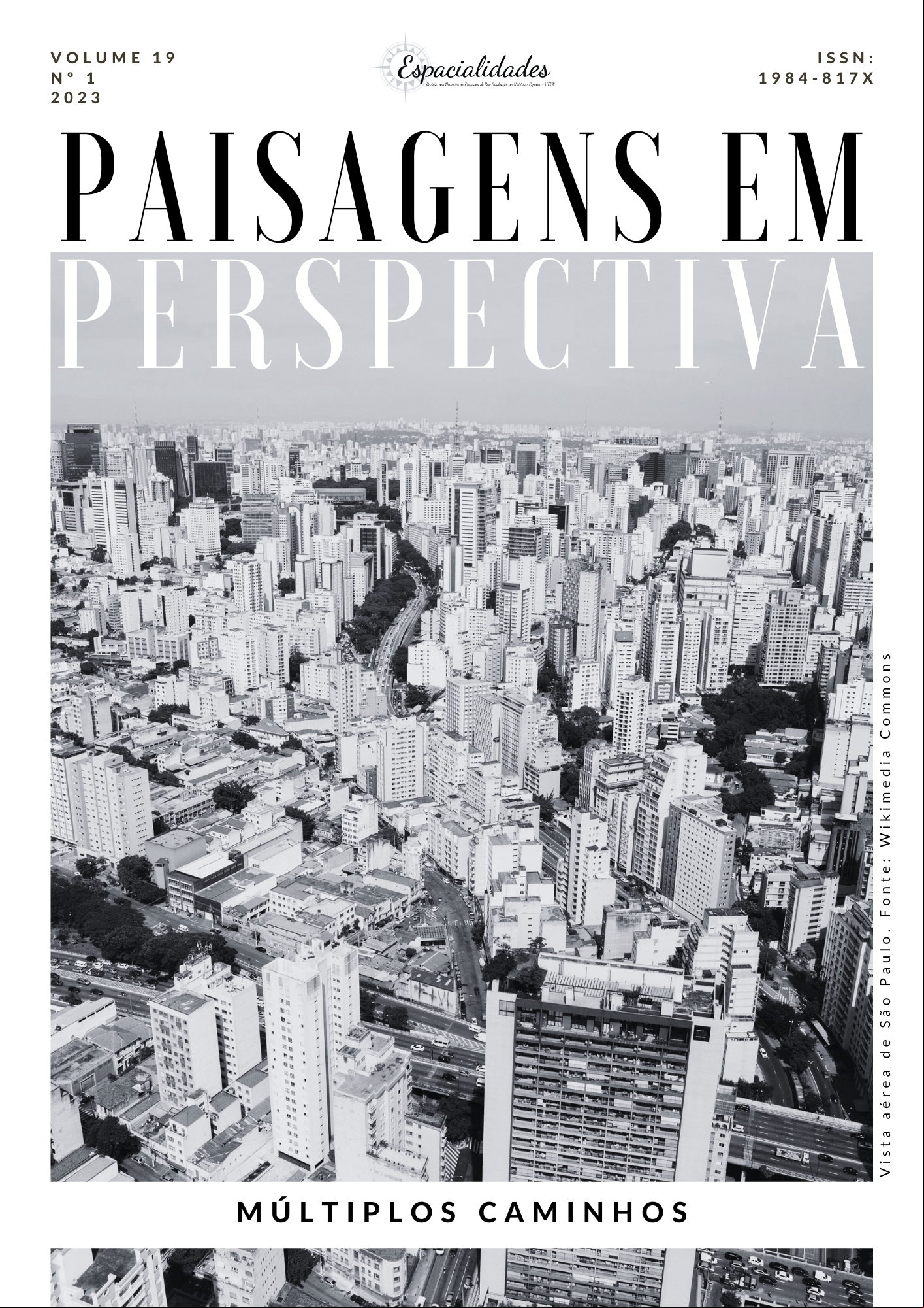 REVISTA ESPACIALIDADES